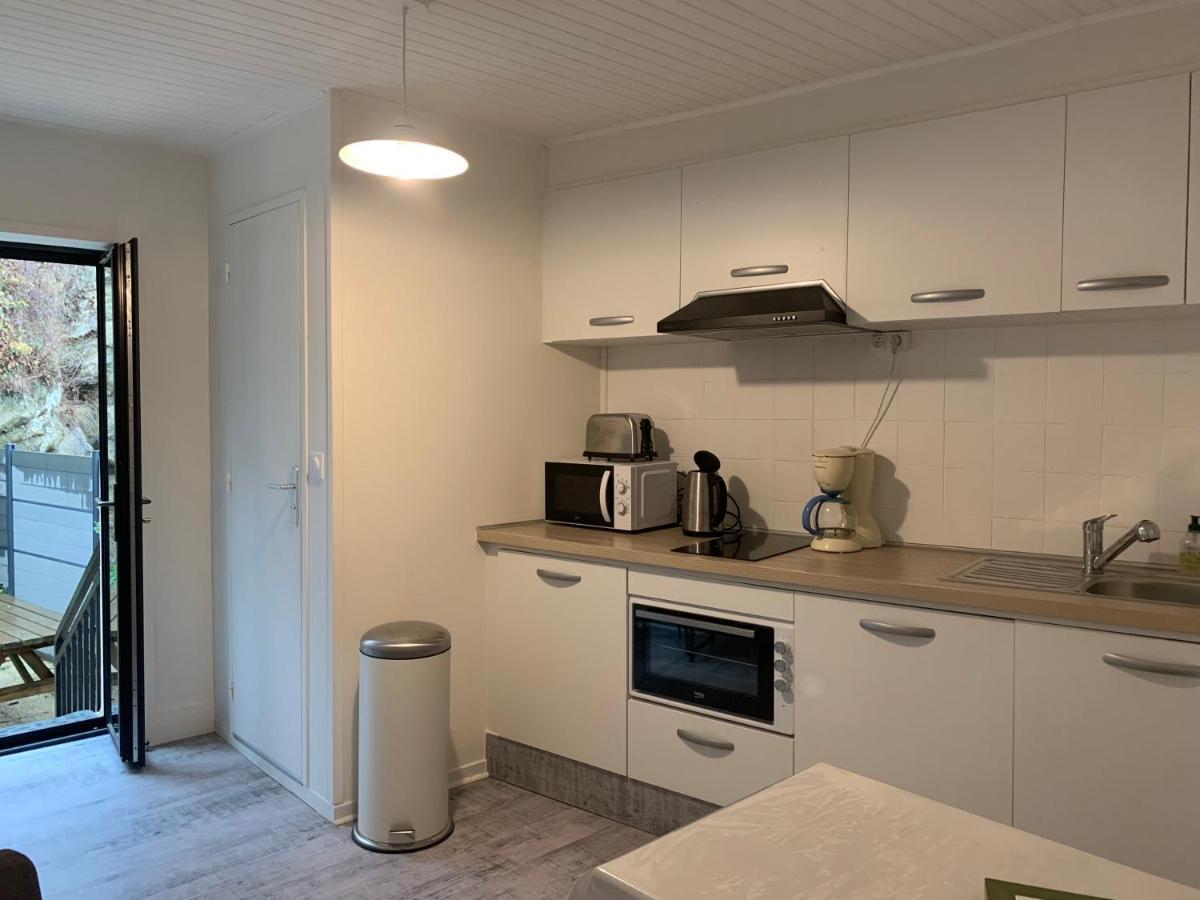 Appartement 4 Personnes, 1 Chambre, Terrasse, Wifi, Proche Du Centre La Bourboule Eksteriør billede